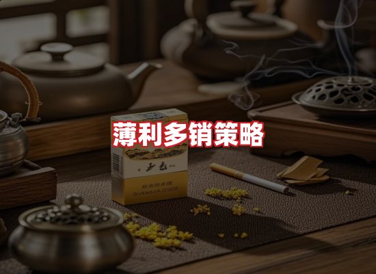 专业团队